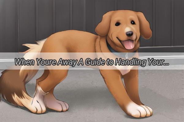 When Youre Away A Guide to Handling Your Dogs Accidents During Your Business Trip